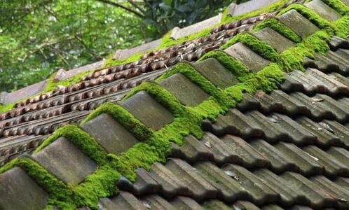 ritz-couvreur-ain01.fr ritz-couvreur-ain01.fr