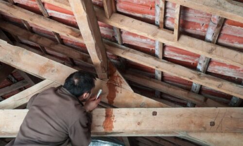 ritz-couvreur-ain01.fr ritz-couvreur-ain01.fr